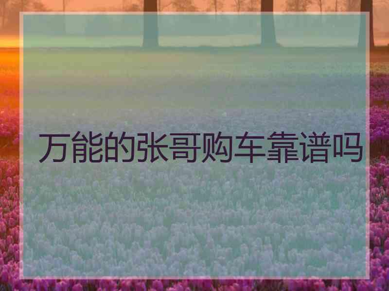 万能的张哥购车靠谱吗