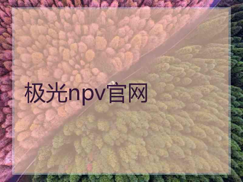 极光npv官网