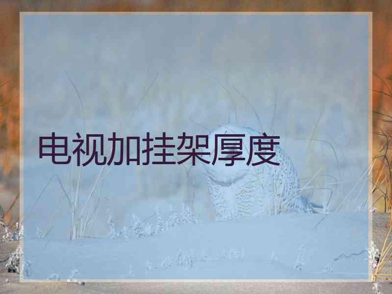 电视加挂架厚度