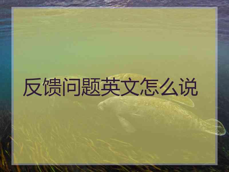 反馈问题英文怎么说
