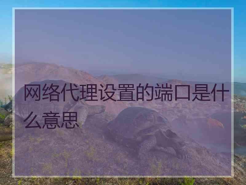 网络代理设置的端口是什么意思