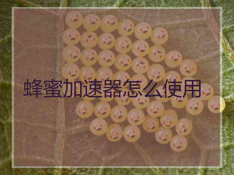 蜂蜜加速器怎么使用