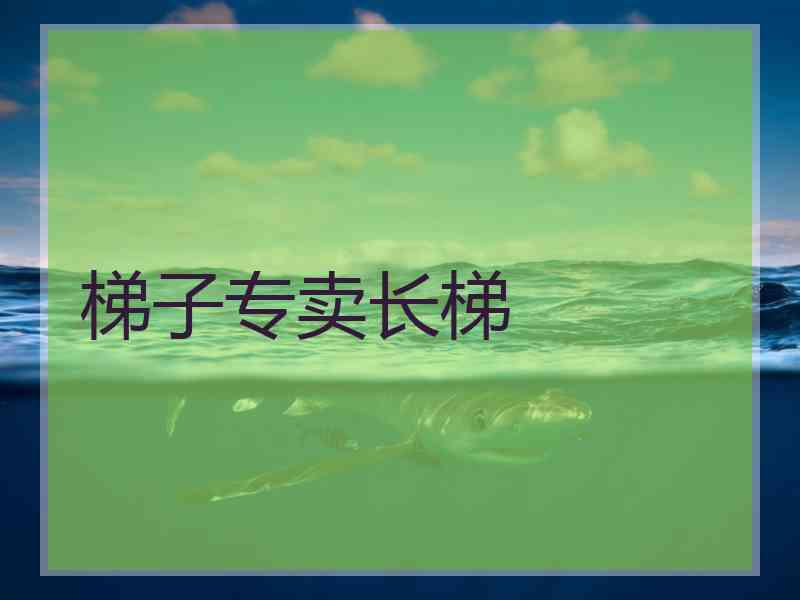 梯子专卖长梯