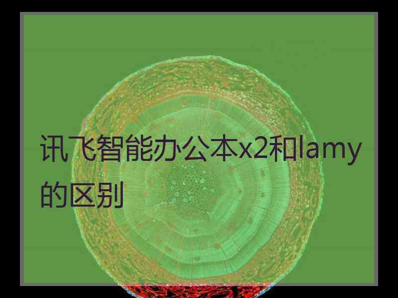 讯飞智能办公本x2和lamy的区别