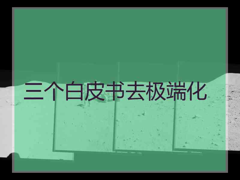 三个白皮书去极端化