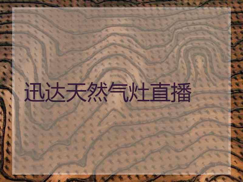 迅达天然气灶直播