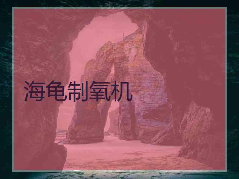 海龟制氧机