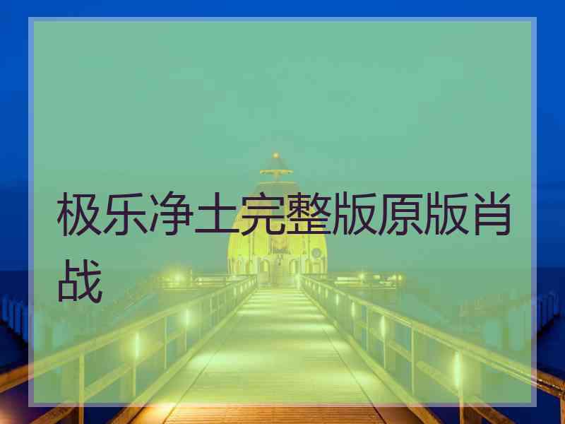 极乐净土完整版原版肖战
