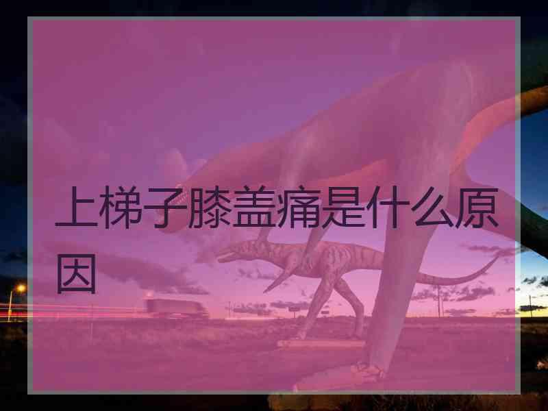 上梯子膝盖痛是什么原因