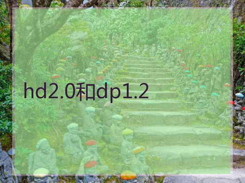 hd2.0和dp1.2