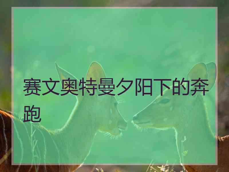 赛文奥特曼夕阳下的奔跑