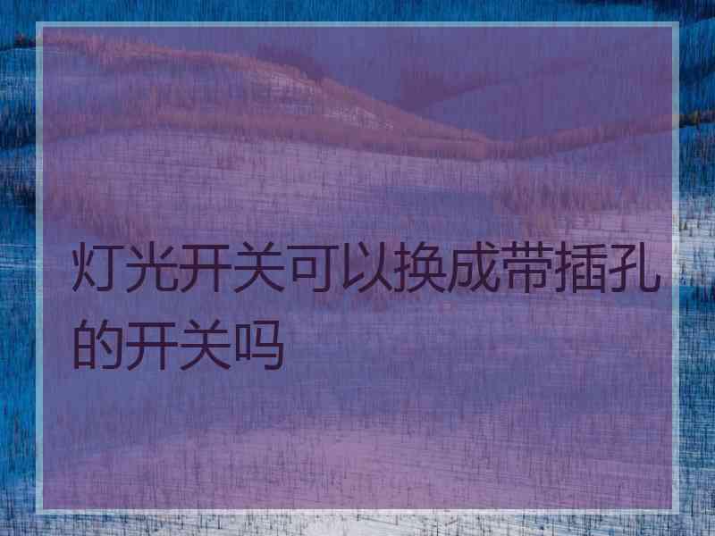 灯光开关可以换成带插孔的开关吗