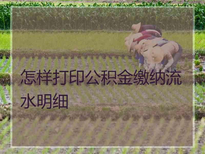 怎样打印公积金缴纳流水明细