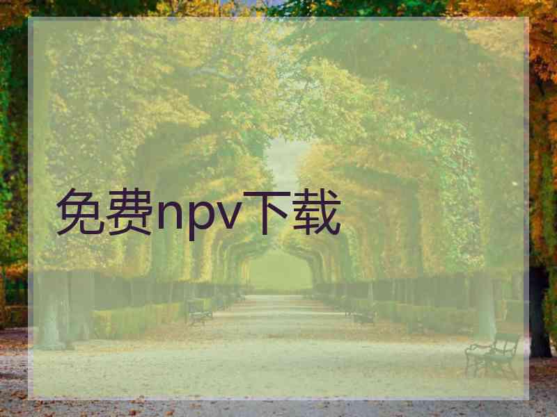 免费npv下载