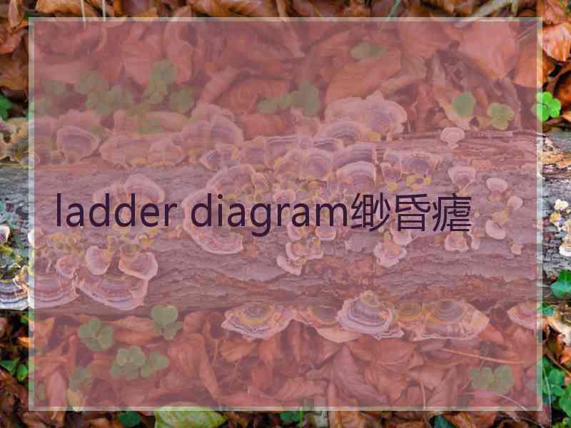 ladder diagram缈昏瘧