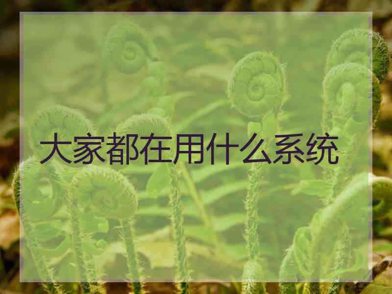 大家都在用什么系统