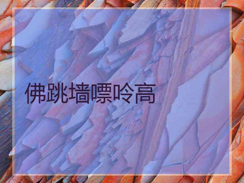 佛跳墙嘌呤高