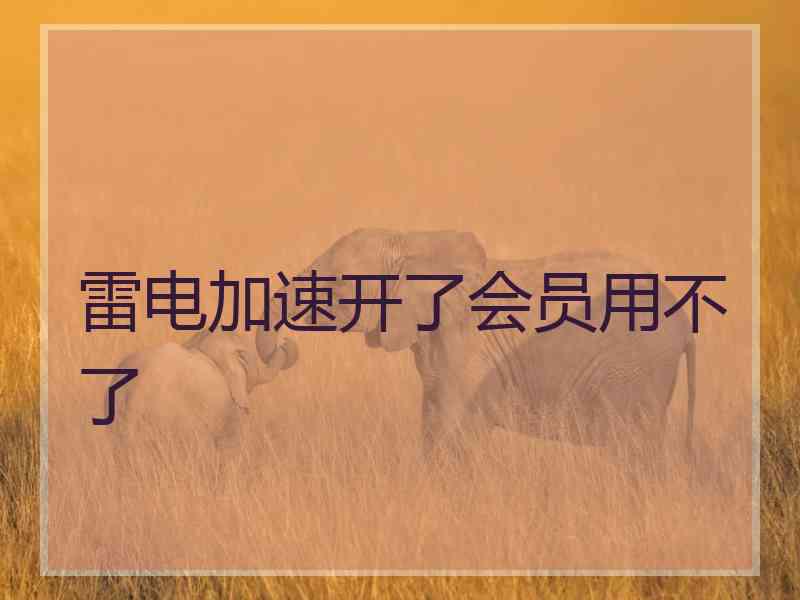 雷电加速开了会员用不了