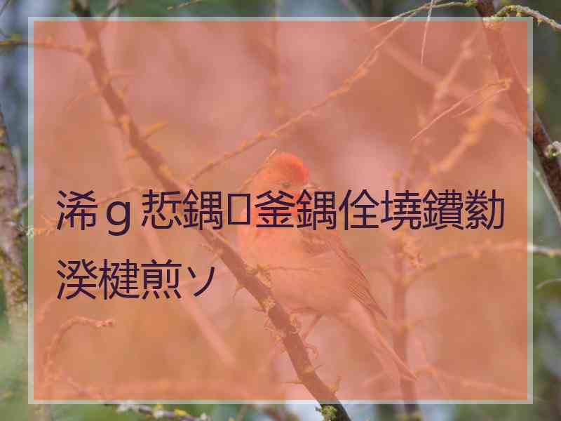 浠ｇ悊鍝釜鍝佺墝鐨勬湀楗煎ソ