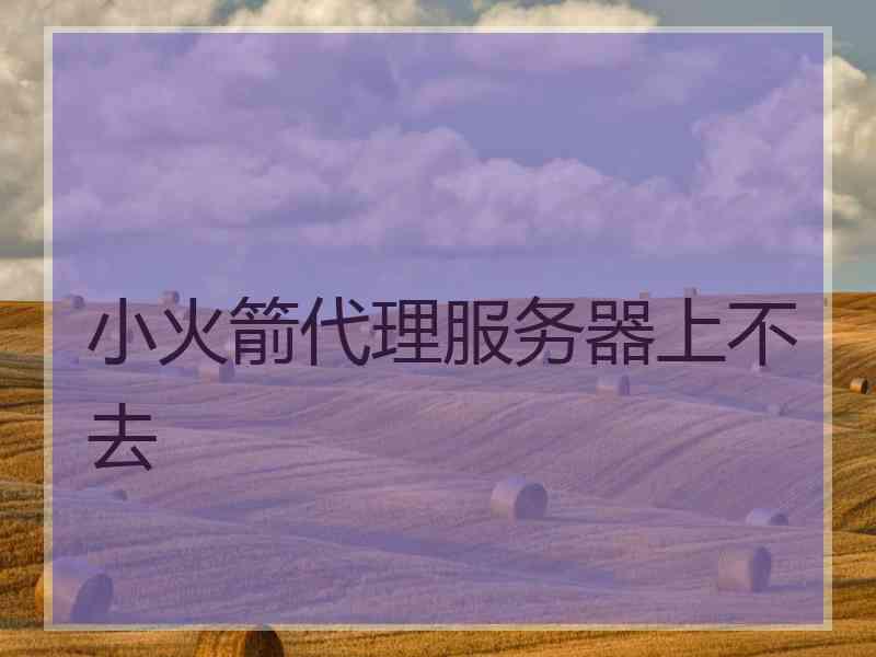 小火箭代理服务器上不去
