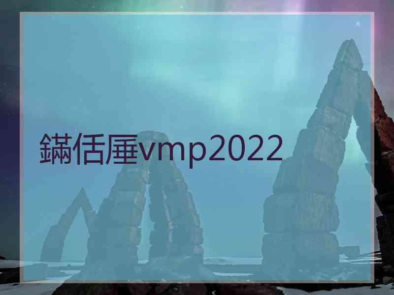 鏋佸厜vmp2022
