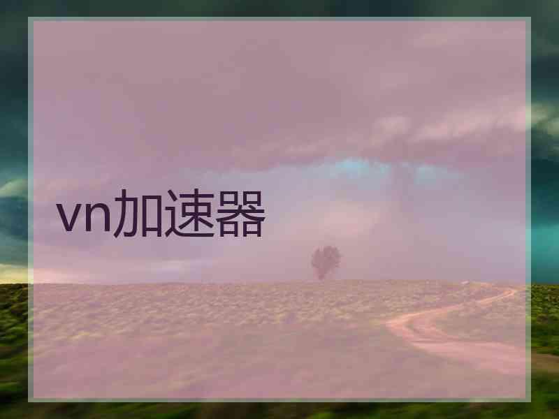 vn加速器