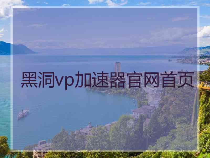 黑洞vp加速器官网首页