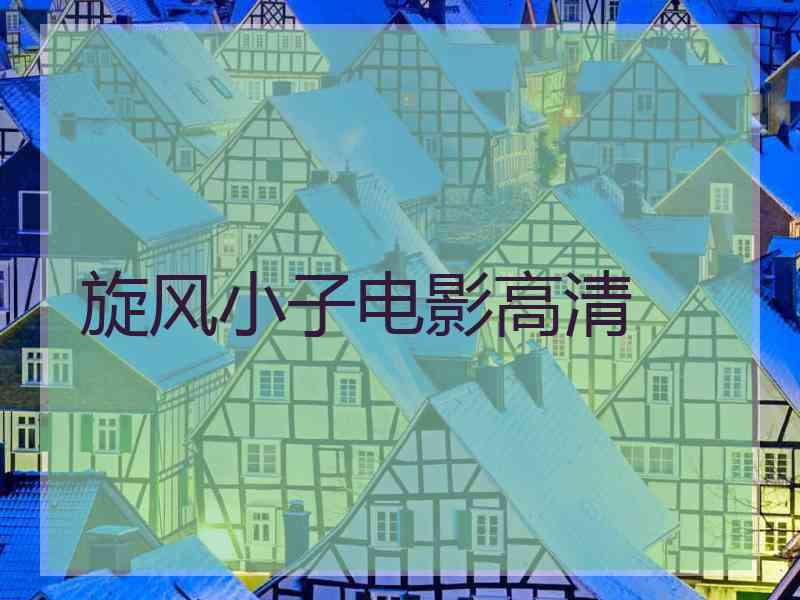 旋风小子电影高清