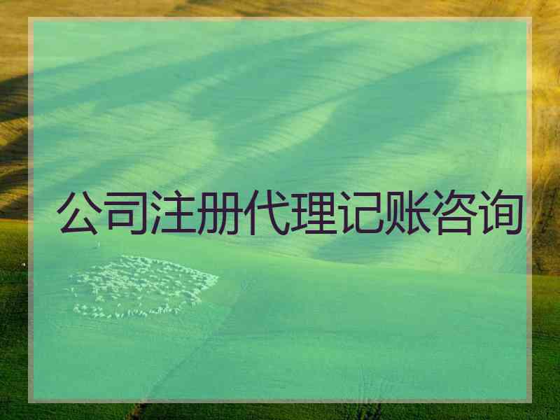 公司注册代理记账咨询