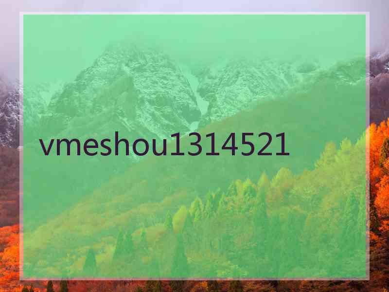 vmeshou1314521