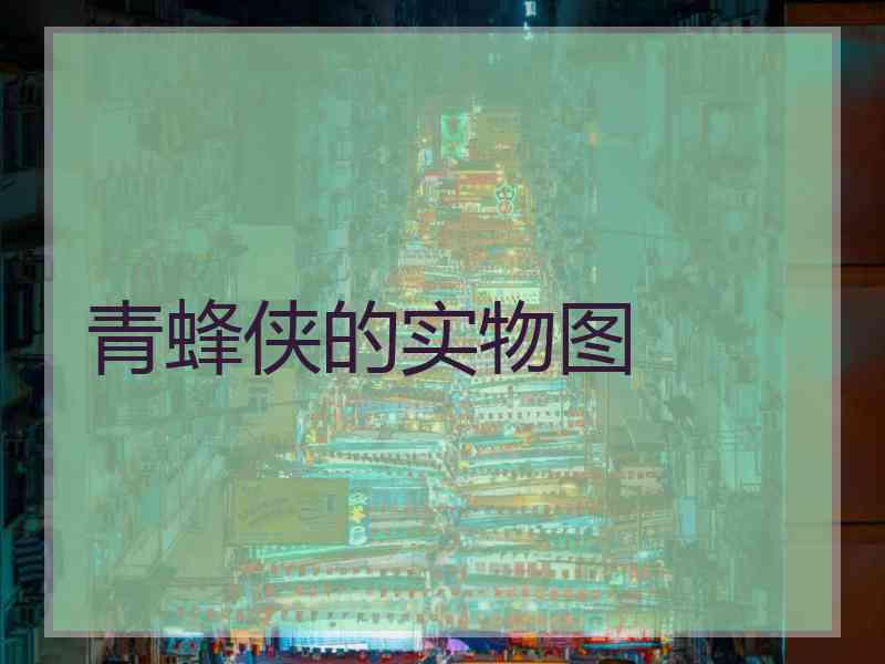 青蜂侠的实物图