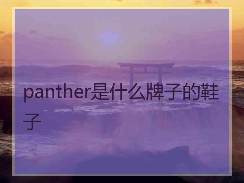 panther是什么牌子的鞋子