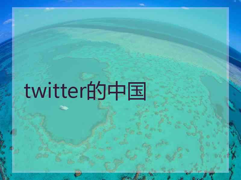 twitter的中国