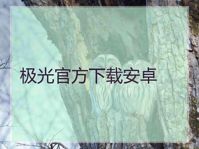 极光官方下载安卓