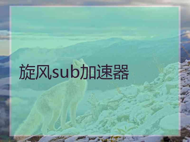 旋风sub加速器