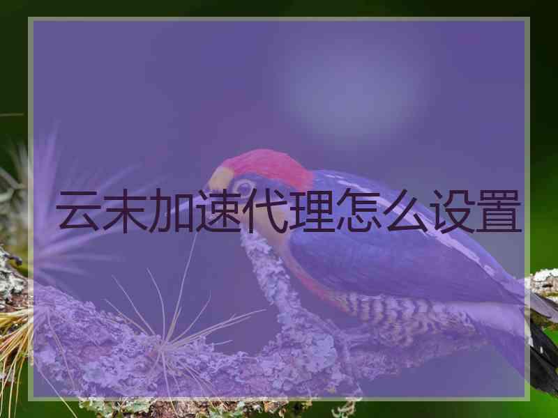 云末加速代理怎么设置