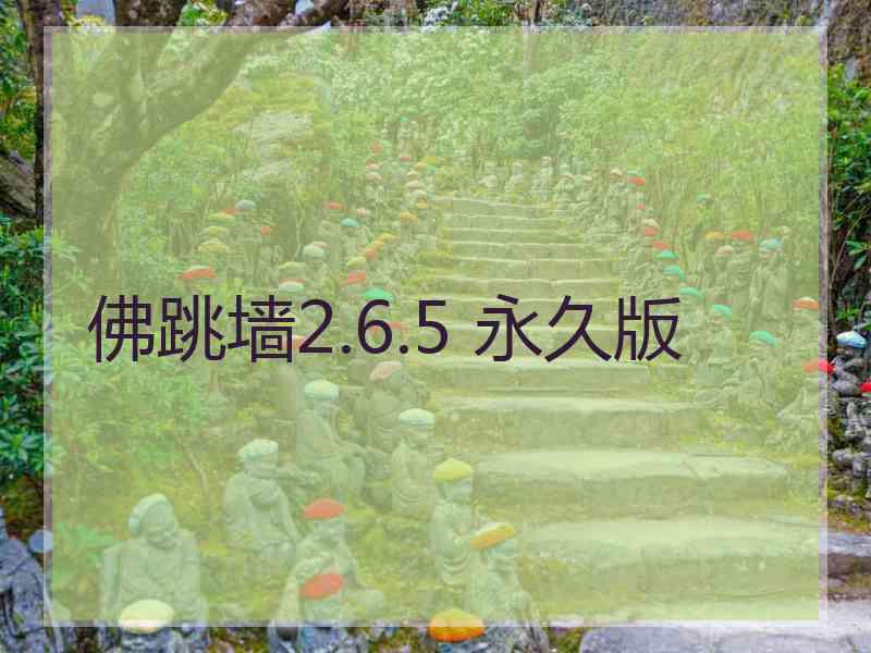 佛跳墙2.6.5 永久版