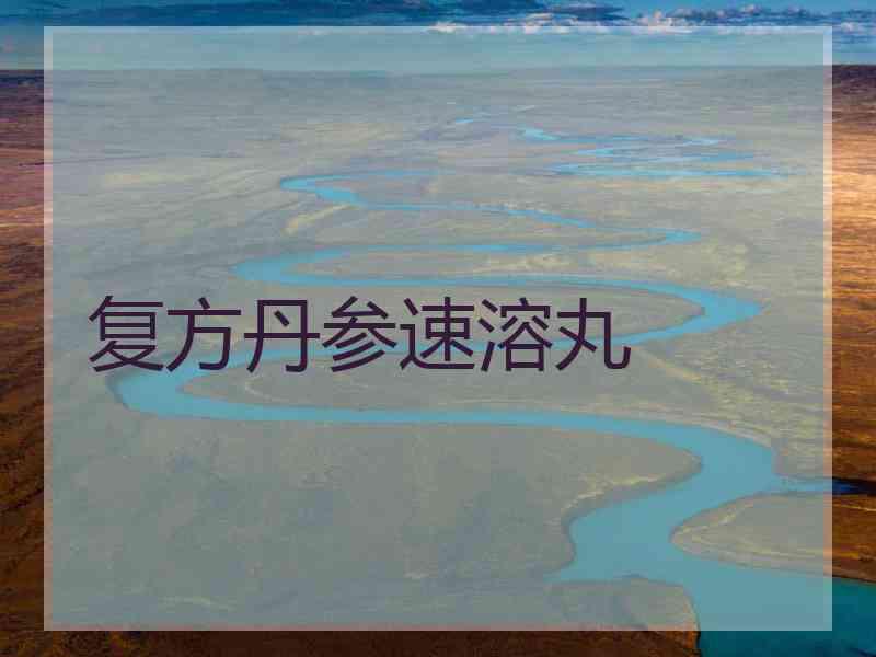 复方丹参速溶丸