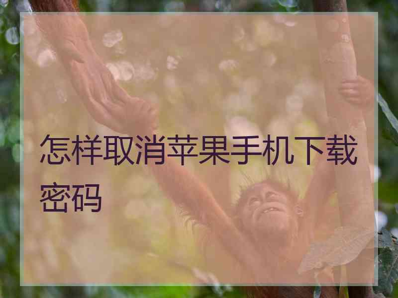 怎样取消苹果手机下载密码