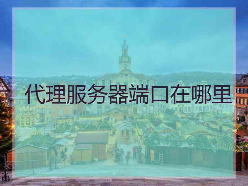 代理服务器端口在哪里