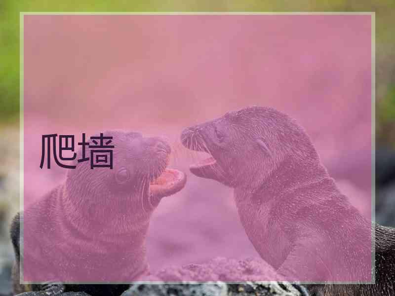 爬墙