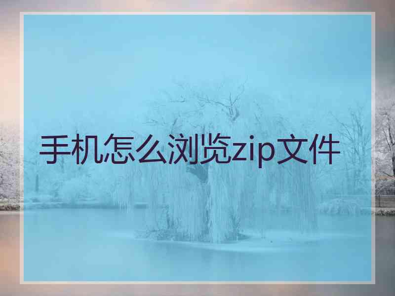 手机怎么浏览zip文件