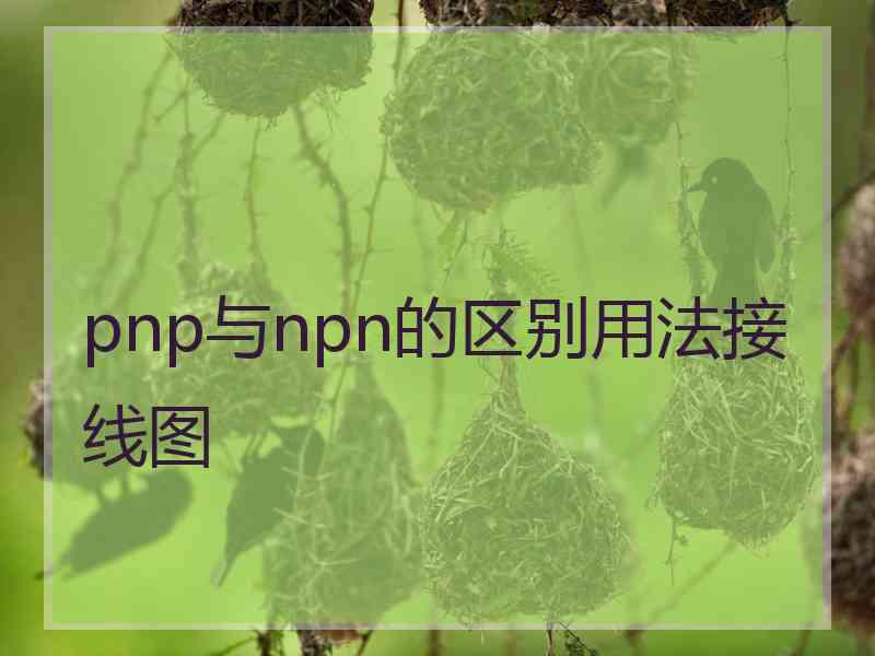 pnp与npn的区别用法接线图