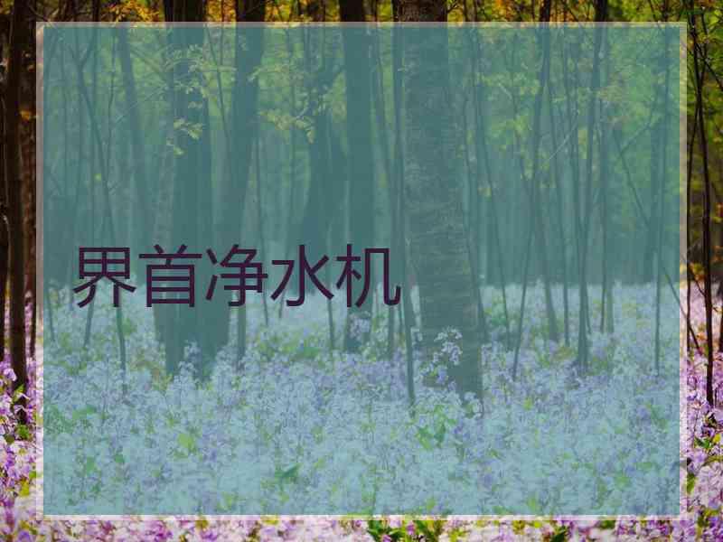 界首净水机