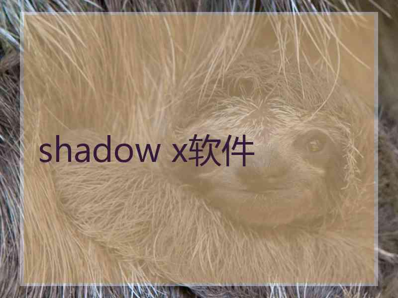 shadow x软件