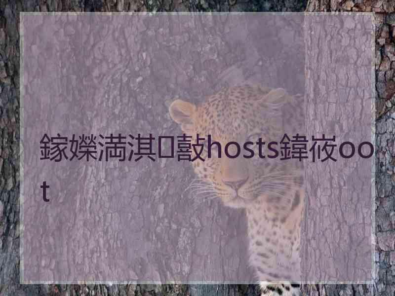 鎵嬫満淇敼hosts鍏峳oot