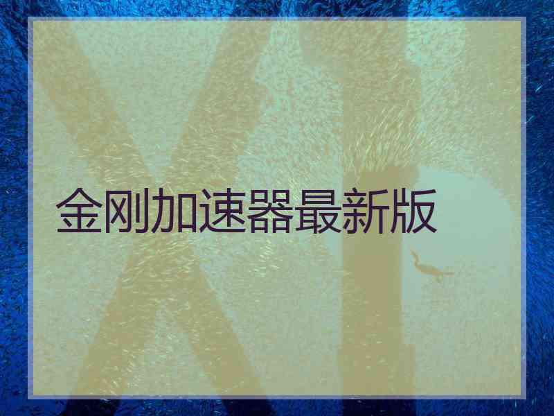 金刚加速器最新版