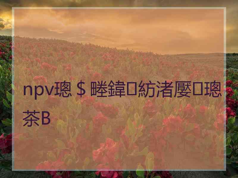 npv璁＄畻鍏紡渚嬮璁茶В