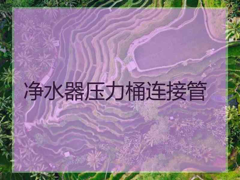 净水器压力桶连接管