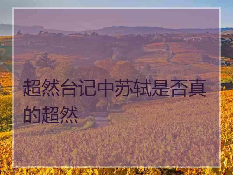 超然台记中苏轼是否真的超然